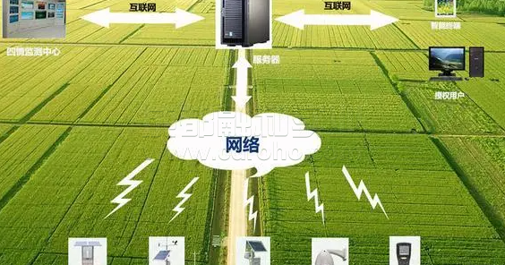機器學習助力傳統(tǒng)農(nóng)業(yè)轉(zhuǎn)型智能農(nóng)業(yè)